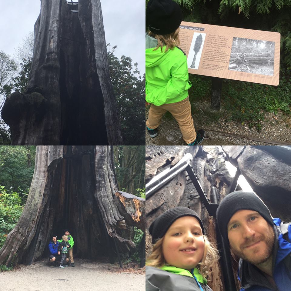 21430070_10159477524050637_5994885483050513697_n