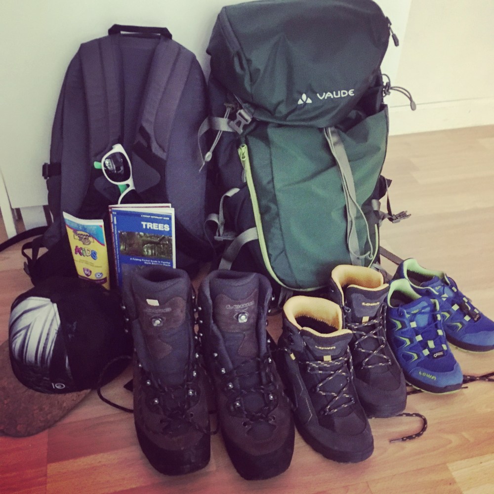 E3CB4C24-E1B4-4C62-B3A3-368226A59413